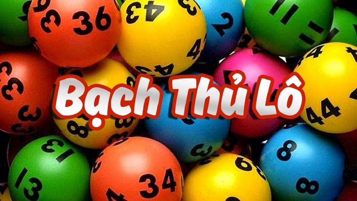 bat cau bach thu lo mien bac 67df67621a516
