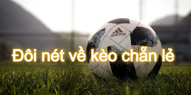 Kèo Chẵn Lẻ Là Gì? Những Loại Kèo Cược Chẵn Lẻ Phổ Biến