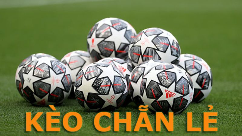 Kèo Chẵn Lẻ Là gì? Mẹo Cược Chẵn Lẻ Từ A-Z Cho Người Mới
