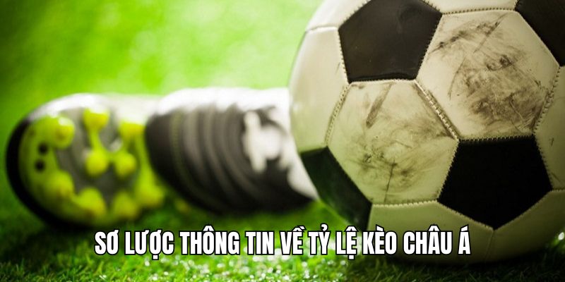 Tỷ Lệ Kèo Châu Á - Kinh Nghiệm Cá Độ Kèo Handicap Hay