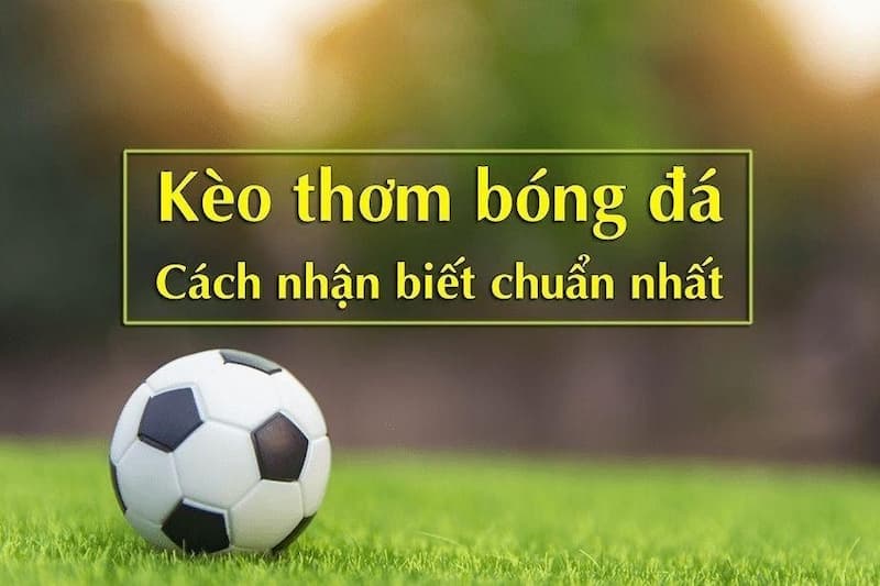Kèo Thơm Là Gì? Cách Để Nhận Biết Kèo Thơm Trong Bóng Đá