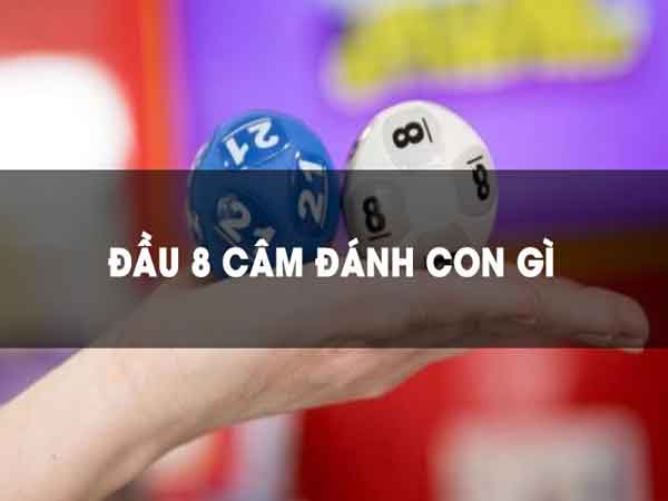 dau 8 cam hom sau danh de con gi 67df6f1740a53