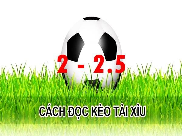 O/U 2-2.5 là gì? Tìm hiểu thông tin kèo O/U 2.25 chi tiết